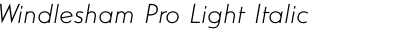 Windlesham Pro Light Italic